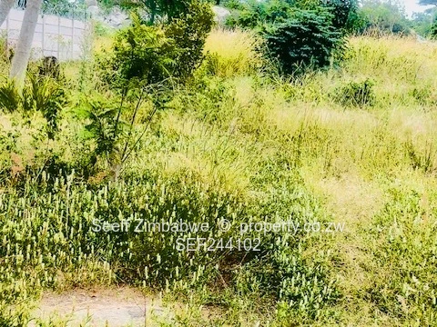 Hatfield 3,141m² Subdivision with Title Deeds land 