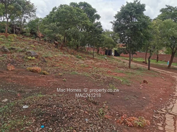 Ready To Build Stand; Gletwin's Finest