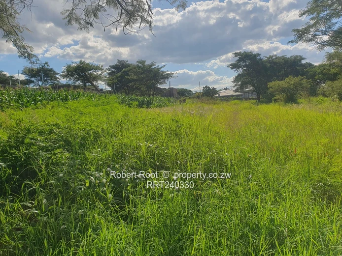 Ready to Build Stand