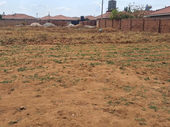 Stands & Residential Land