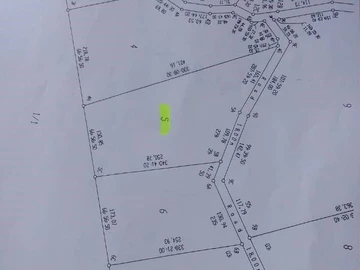 Farm & Agricultural Land