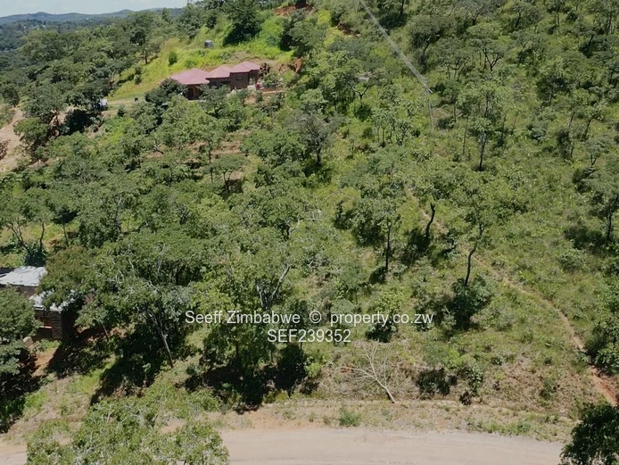 Commercial Land For Sale