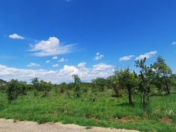 Commercial & Industrial Land