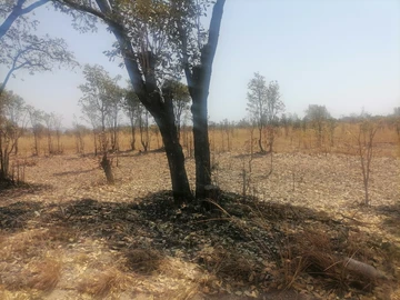 Farm & Agricultural Land