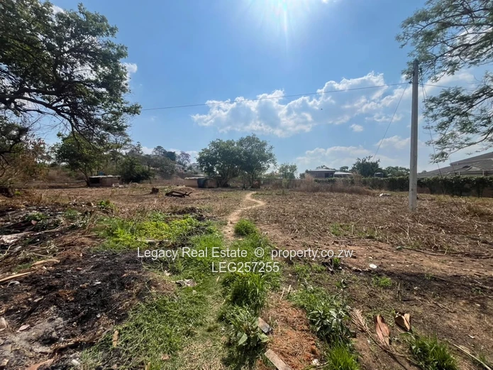 Tree-lined 3,000 m² Glen Lorne Stand 