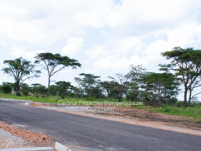 Bridgewood – Premium Mixed-Use Development in Gweru, Zimbabwe