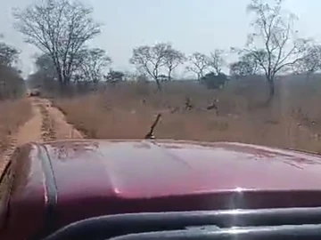 Farm & Agricultural Land