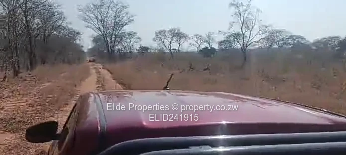 1,130ha Gokwe Farm — Gravel Roads, Grazing & Kraal (Sole Mandate)