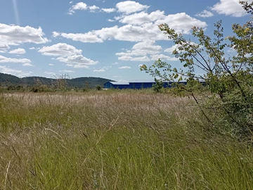 Commercial & Industrial Land