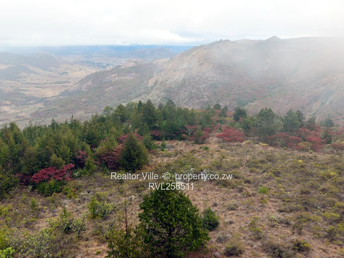 124ha Nyanga Hilltop — Subdivision Potential & Tarred Road