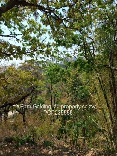 Premium Commercial Property – Vumba