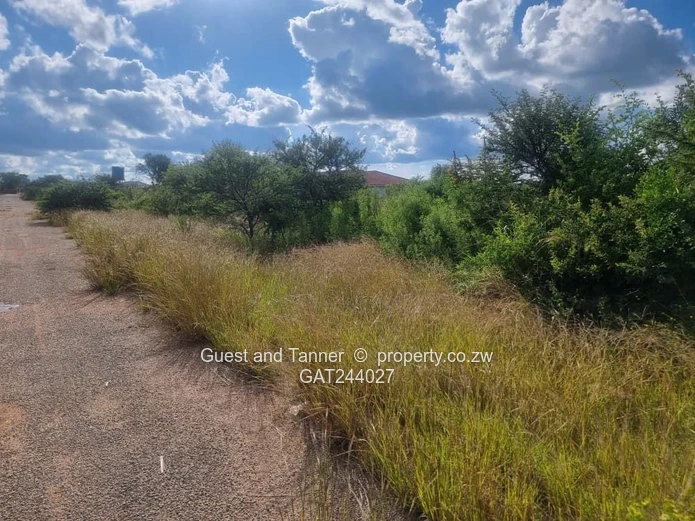 4000m² Willsgrove Stand — Spacious, Green & Ready