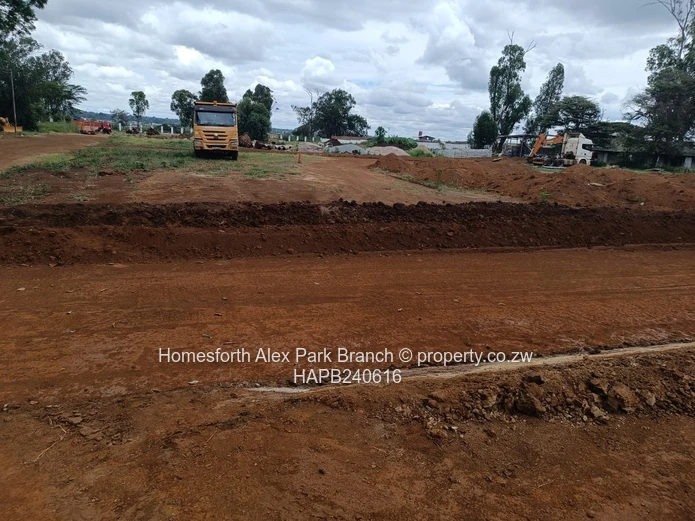 Borrowdale Tall Trees Estate Stands on Sale