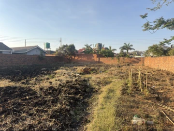 Stands & Residential Land