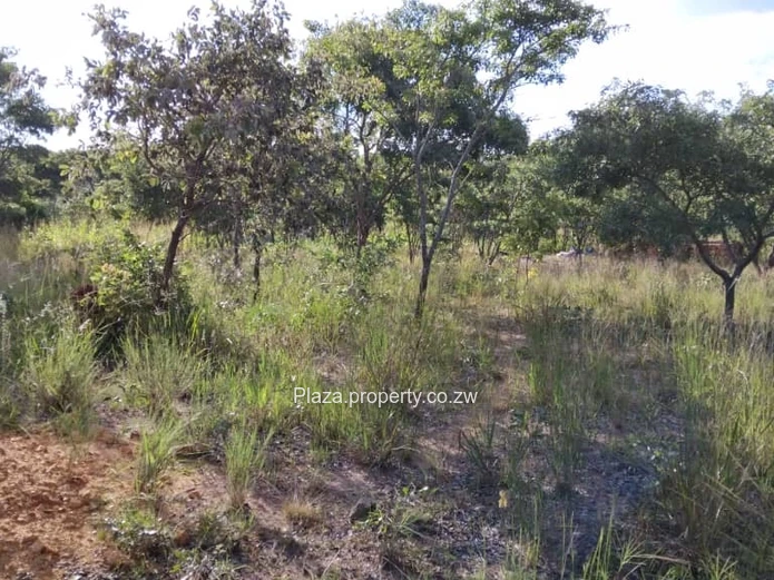 Own your space build your vision!!!!