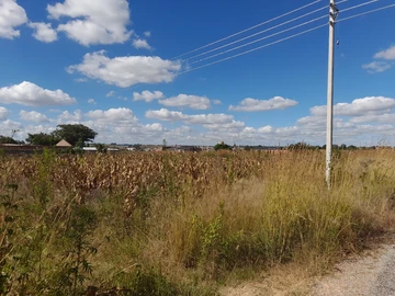 Land