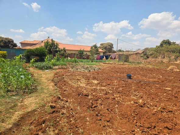 Stands & Residential Land
