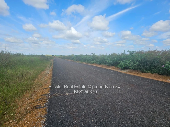 Nyeredzi Ridge Stand for sale
