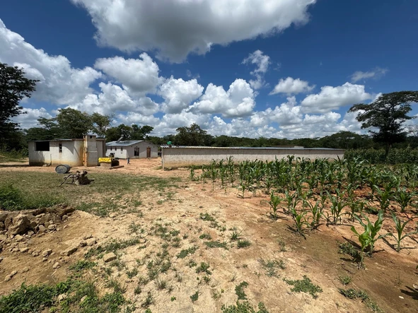 Farm & Agricultural Land