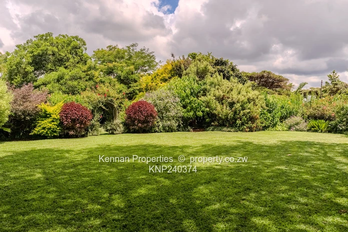 Rare Gem On Three Acres!