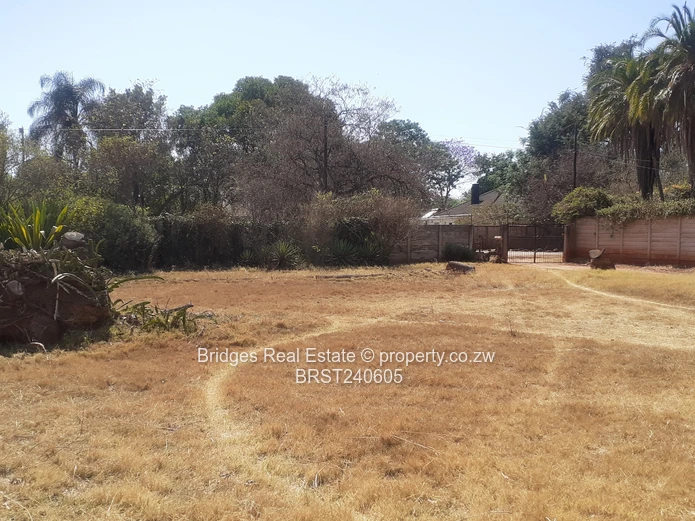 Location ,location ,location 