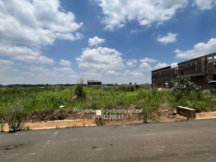 Discover a City Within a City