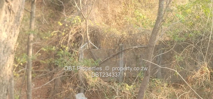 5200m² Glen Lorne Stand — Elevated Wooded Retreat