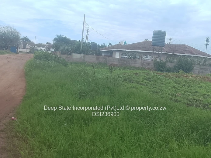 Bluff hill stand for sale 