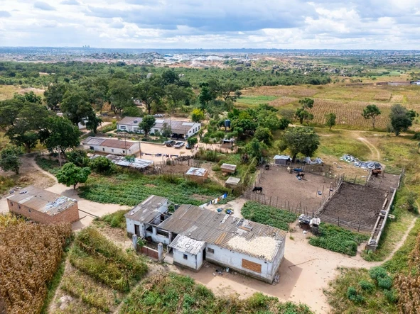 Farm & Agricultural Land