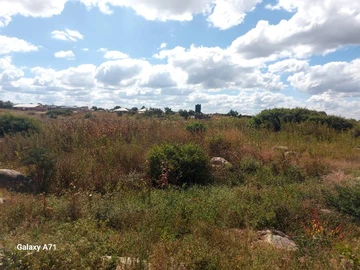 Commercial & Industrial Land