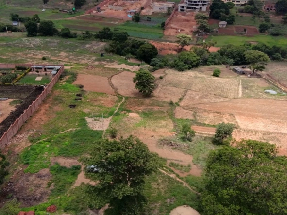 Stands & Residential Land