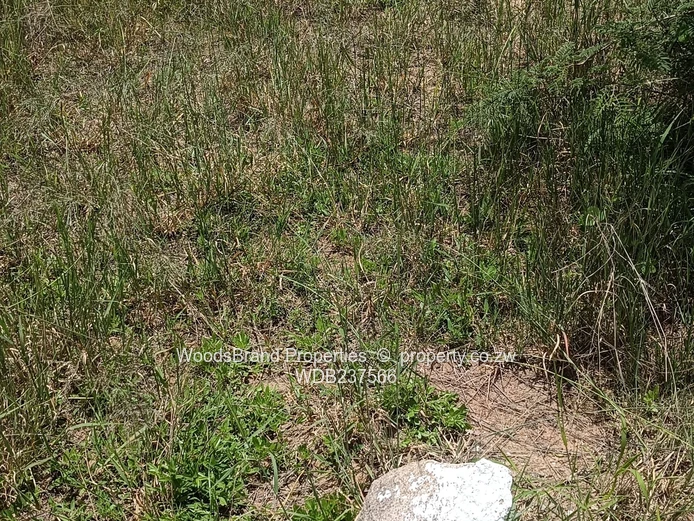 Chegutu, Dorton Plots For Sale