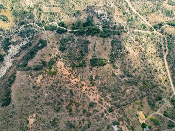 Farm & Agricultural Land