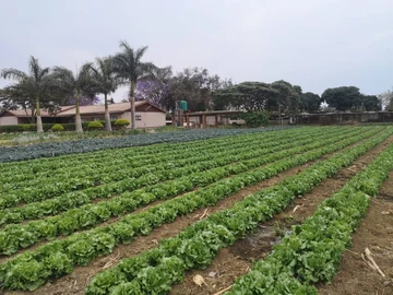 Farm & Agricultural Land