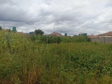 Stands & Residential Land