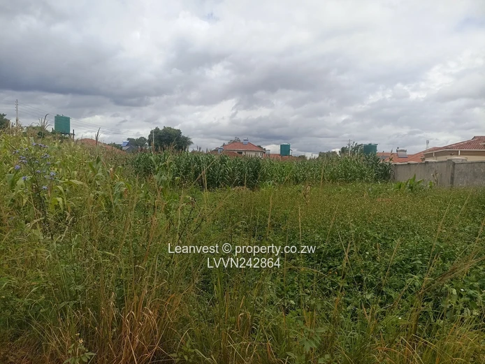 Goodhope Stand For Sale 