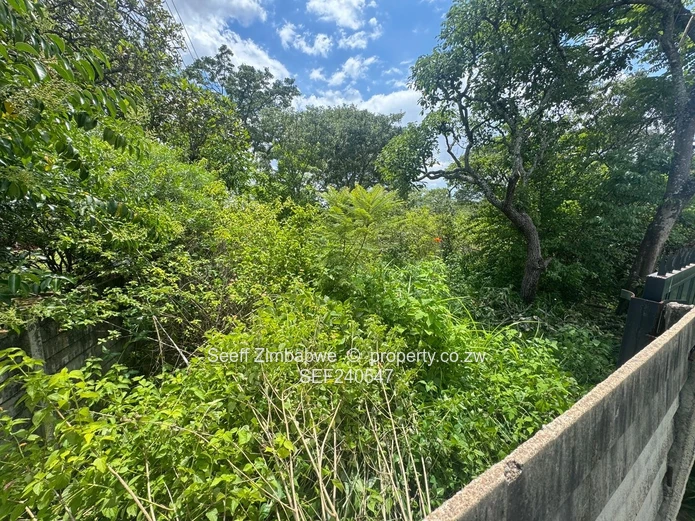 New Listing. Expansive Residential Land In Glen Lorne (Sole Mandate)