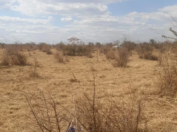 Land