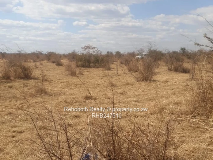 2.5ha Fenced Dry Grassland in Selous - Ideal Homestead