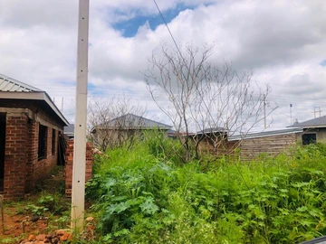 Stands & Residential Land