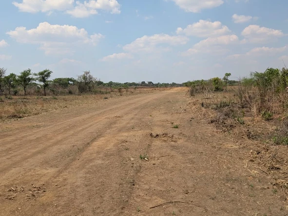 Farm & Agricultural Land