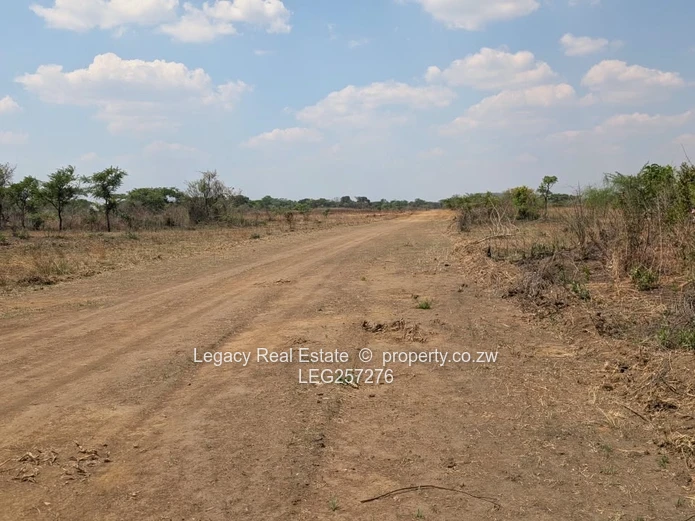 1ha Arable Farm a choice of 12 plots opposite Bulawayo rd  — Cleared Land & Road Access