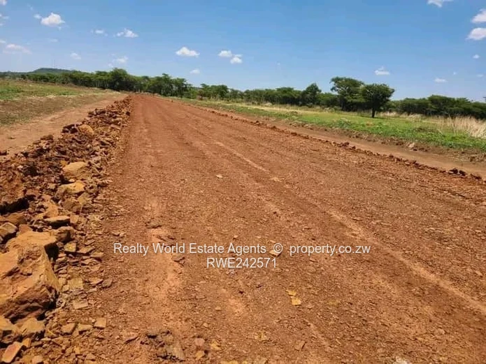 Spitzkop Stands for Sale