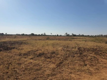 Farm & Agricultural Land