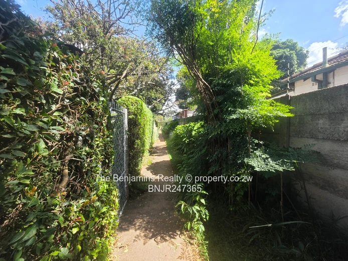 Secure Garden Flat In Avondale