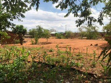 Commercial & Industrial Land