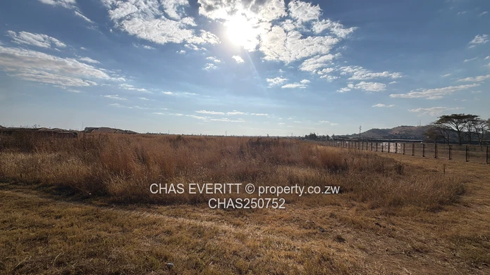 Prime Stands For Sale
