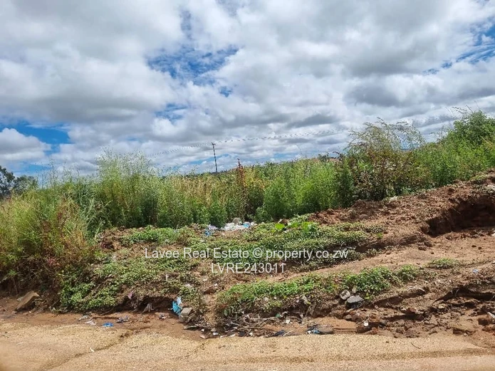 Rusape Undeveloped Lodge Site — 5,034 m² Green Plot (Sole Mandate)