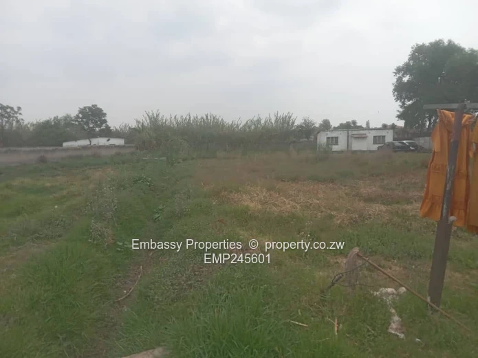 Grab This Oppotunity