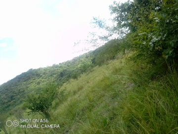 Farm & Agricultural Land